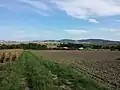 Blick von Westen auf die südliche Waschbergzone (Steinberg, Grillenberg, Michelberg, Waschberg)