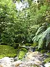 Wasserfall am Zugang zum Ōpārara Arch