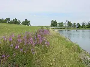 Am Staudamm