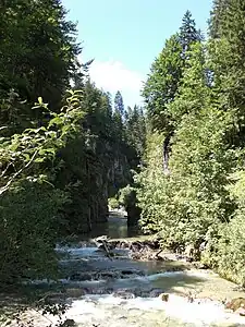 Kleine Schlucht beim Wechselpass