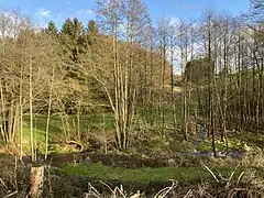 Wefelpütter Siefen mündet in den Marscheider Bach