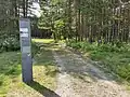 Überreste des Wegs durch das Kriegsgefangenenlager im KZ Bergen-Belsen auf das Krankenlazarett zu.