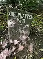 Wegweiserstein am Leopoldstein, Richtung Nordosten über den Kohlplattenweg zum Auerhahnenkopf