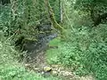 Lauterursprung, Karstquelle(Weiße Lauter)