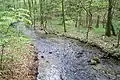 Der rechte Arm des Weißen Kochers im Ursprungstal