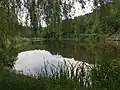 Weiher St. Nikolaus