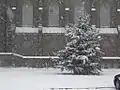 Kurz vor Weihnachten