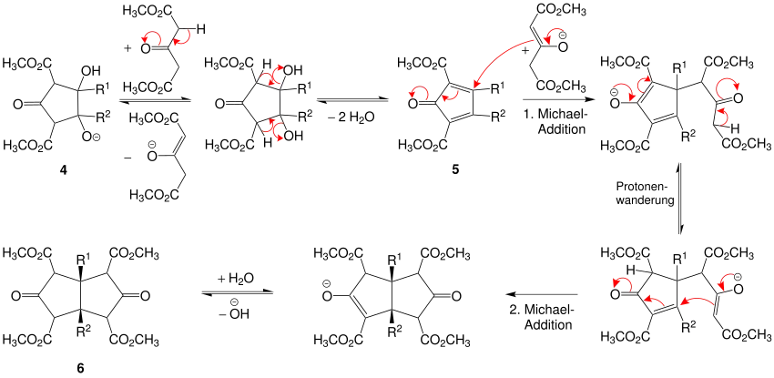 Mechanismus der Weiss-Reaktion, inter- und intramolekulare Michael-Additionen