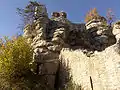 Die Ruine von Süden. Rechts im Vordergrund die Kellermauer des Hauptgebäudes mit Lichtschlitz