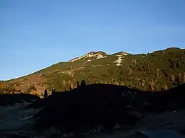 Weitschartenkopf von Osten