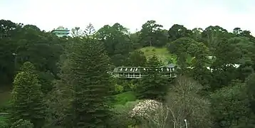 Die Botanischen Gärten von Wellington