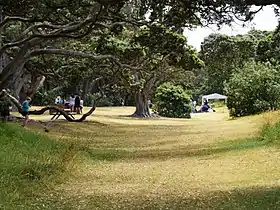 Parklandschaft