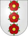 Wengi BE: Pfahlweise gestellt