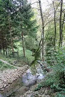 Wenzbach