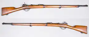 Werder-Gewehr M/1869