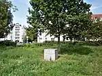 Gustav-Meyer-Eiche