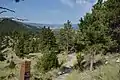 Wanderweg im Mount Helena City Park (2018)