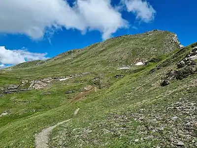 Blick nach Norden in die Val da Cam und zur Westflanke des Piz Cam.