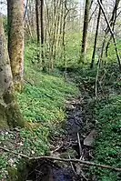 Zweiter Zufluss des Wildenrother Mühlbachs niedriger vom Rainberg nahe bei Hainzendorf