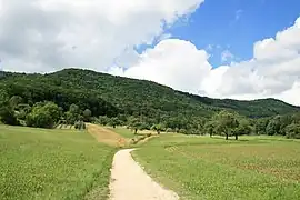 Blick auf die Lägern von Süden bei Wettingen
