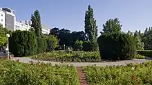Rosarium Wettsteinpark, Wien