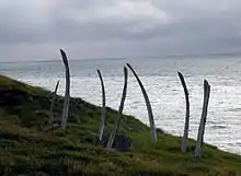 Erbe der Tschuktschen - Arktische Marine Jäger