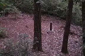 Wheeler Ridge Japanese Bombing Site (2011)