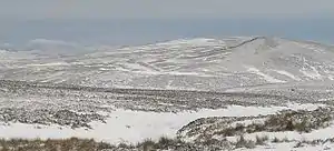 White Craig