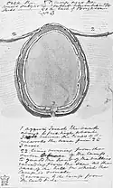 Skizze des Whitehawk von 1821