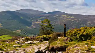 Der Wicklow Way nahe Curtlestown