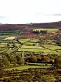 Widecombe Valley