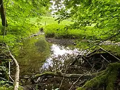 Wiebach Oberlauf