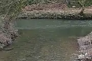 Der Pfaffenbach (unten) bei der Mündung in die Wied
