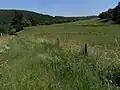Lauf durch Wiesen