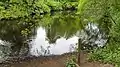 Das Wilde Moor, ehemalige Quelle der Tarpenbek-West