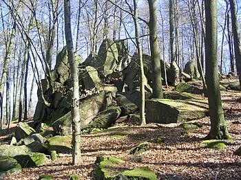 Die Flasergranitoid-Felsgruppe Wildfrauhaus ist nach einer sagenhaften Heilkräuterfrau benannt, die inmitten der Natur auf dem Streiterberg-Altscheuer-Bergzug im Fischbachtal hauste.