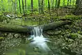 Im Rothwald