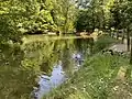 Fischteich mit Enten