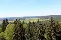 Blick Richtung Ödmiesbach (2015)