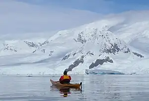 Walbeobachtung vom Kayak in der Wilhelmina Bay