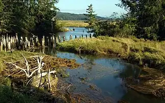 Willapa Bay mit Willapa Hills im Hintergrund