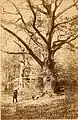 William Drooke Harrison, Forêt de Fontainebleau, le nid d’amour des peintres, Bas-Bréau, um 1870/80
