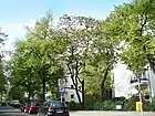 Tharandter Straße