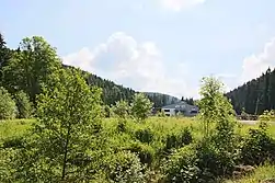 Wilzschmühle 2015: Eine noch offene Fläche an der Wilzsch