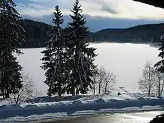 Windgfällweiher im Winter