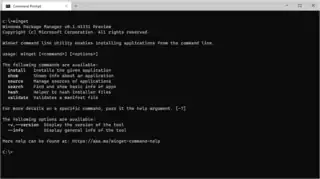 Windows Package Manager v0.1.41331 Preview