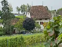 Wingreis