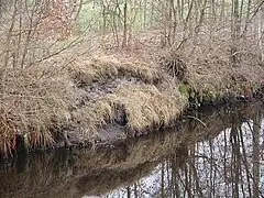 Der Kanal wird nicht mehr „gewartet“, wie diese Stelle zeigt