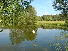 Winkelweiher mit Habicht – Brutpaar, Blickrichtung auf Siedelweiher und Quelle