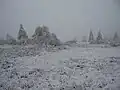 Neuer Hagen im Winter bei Nebel